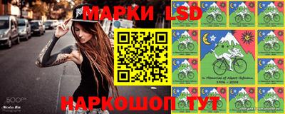 амф Кингисепп