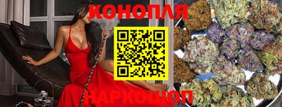 амф Кингисепп
