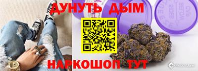 амф Кингисепп