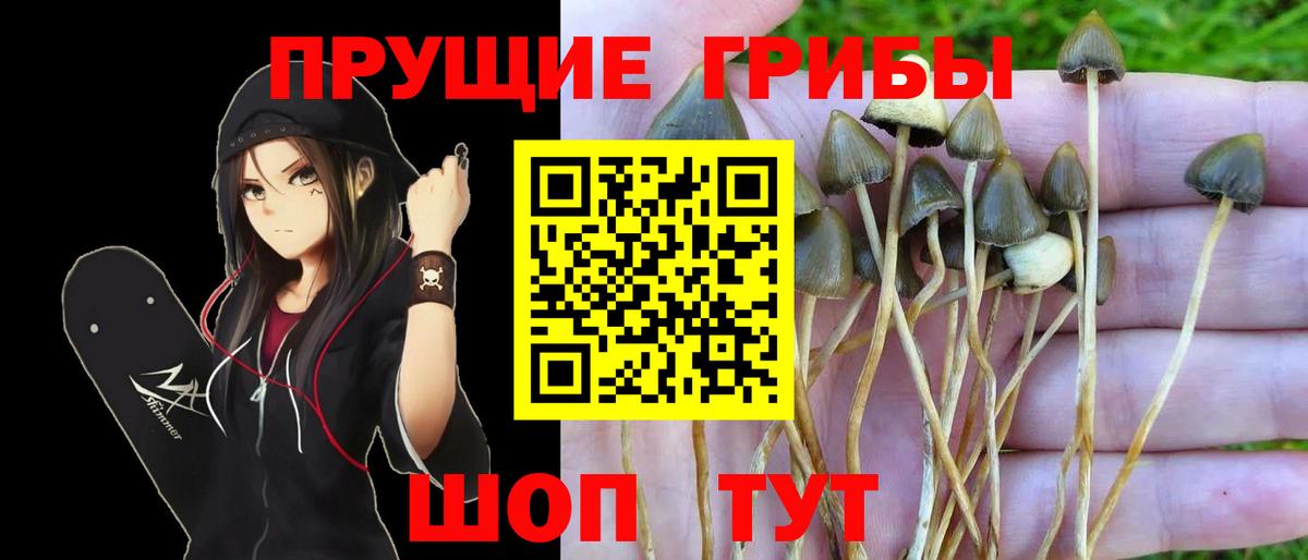 Коряжма  Псилоцибиновые грибы ЛСД  Вход с VPN 